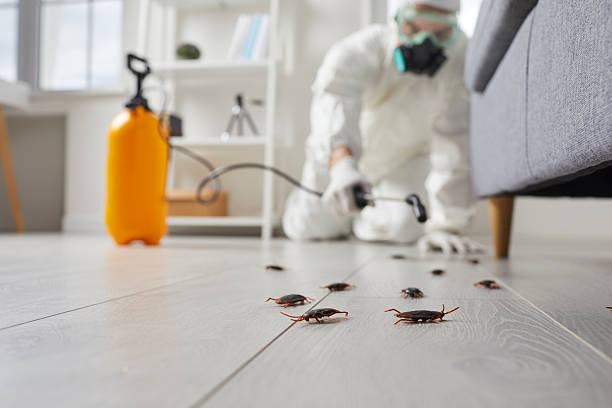 Commercial Kitchen Cockroach Control in Lake of the Pines